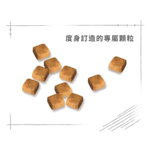 Royal Canin 貓糧 法國皇家貓糧 純種系列 波斯幼貓專屬配方 KPS32 2kg (2554020011) (圖片5)