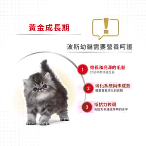 Royal Canin 貓糧 法國皇家貓糧 純種系列 波斯幼貓專屬配方 KPS32 2kg (2554020011) (圖片7)