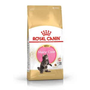 Royal Canin 法國皇家 貓糧 貓乾糧推薦：Royal Canin 貓糧 法國皇家貓糧 純種系列 緬因幼貓專屬配方 KMCO 10kg (2521100)