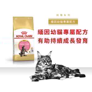 Royal Canin 貓糧 法國皇家貓糧 純種系列 緬因幼貓專屬配方 KMCO 10kg (2521100) (圖片3)
