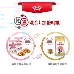 Royal Canin 貓糧 法國皇家貓糧 純種系列 緬因幼貓專屬配方 KMCO 10kg (2521100) (圖片7)