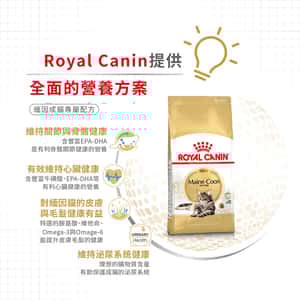 Royal Canin 貓糧 法國皇家貓糧 純種系列 緬因成貓專屬配方 10kg (2550100010) (圖片5)