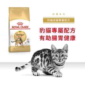 Royal Canin 貓糧 法國皇家貓糧 純種系列 豹貓成貓專屬配方 BEN40 10kg (2376600) (圖片3)