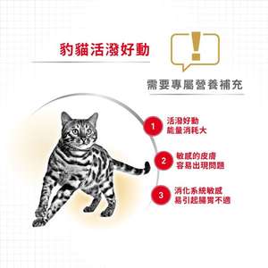Royal Canin 貓糧 法國皇家貓糧 純種系列 豹貓成貓專屬配方 BEN40 10kg (2376600) (圖片4)