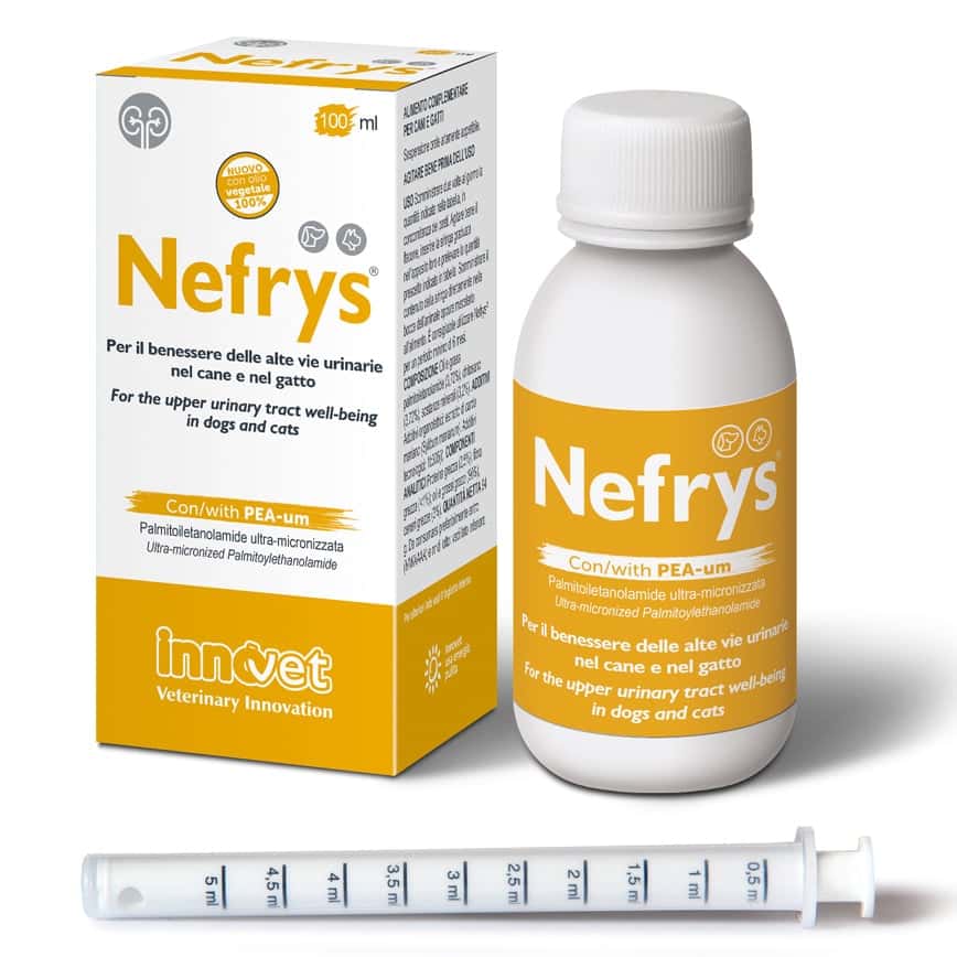 INNOVET Nefrys 強腎配方 100ml (圖片2)