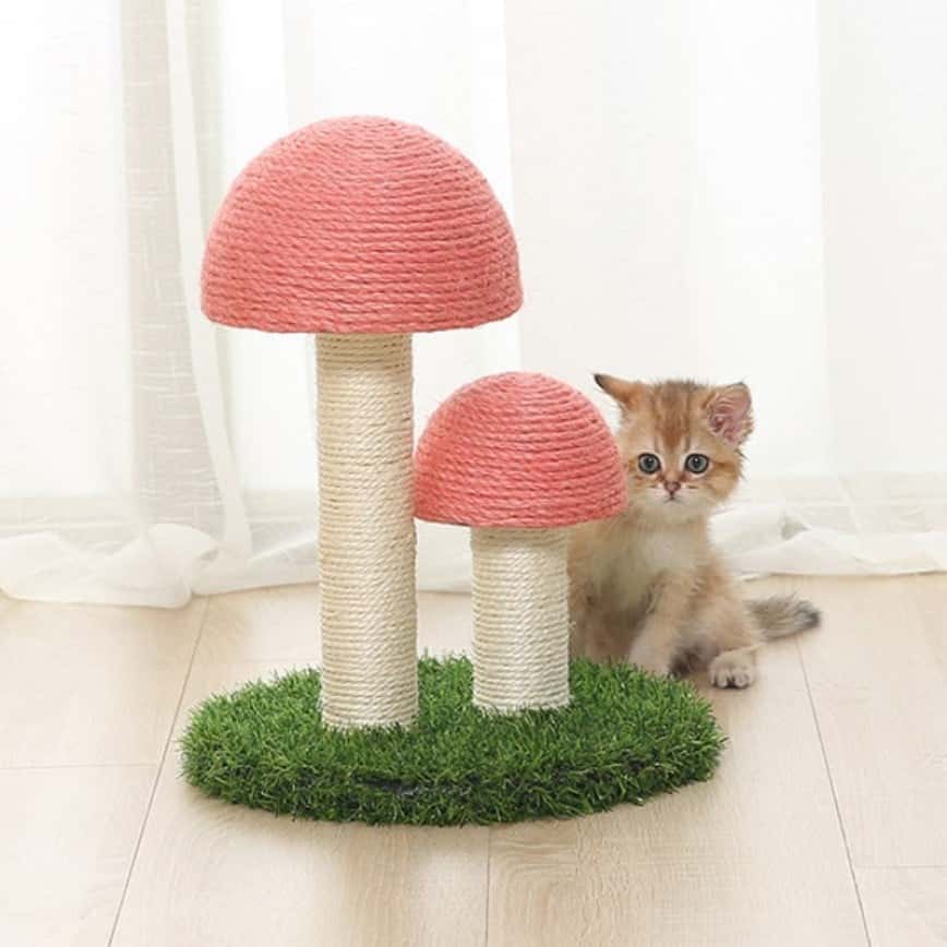 劍麻貓抓柱貓爬架 玩具嚴選 蘑菇兩粒 (顏色隨機) (圖片2)