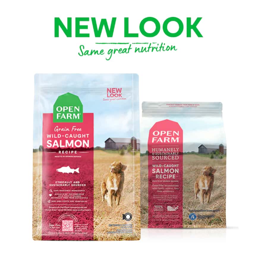 Open Farm 無穀物狗糧 野生三文魚 22lb (OFSA-22D) (新舊包裝隨機發貨) (圖片2)