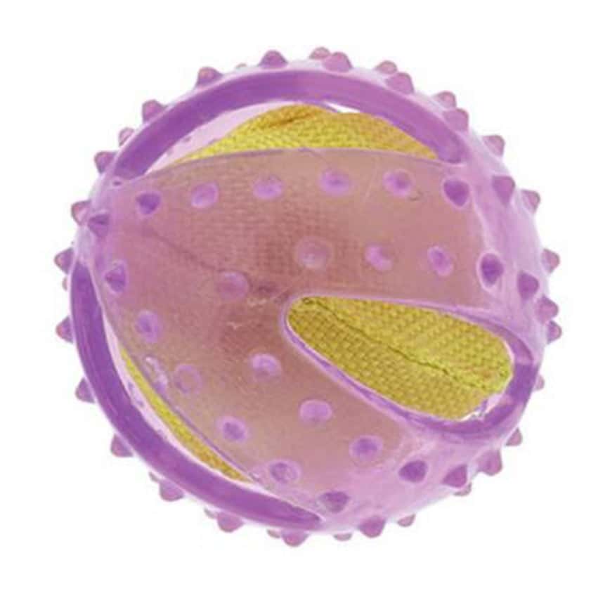 Petio 狗玩具 益智沙沙球 (91602002) (圖片2)