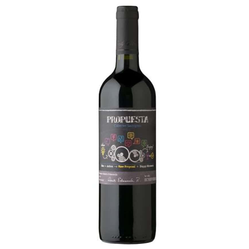 Viña Echeverria Propuesta Cabernet Sauvignon 2017 750ml (400747) (圖片2)
