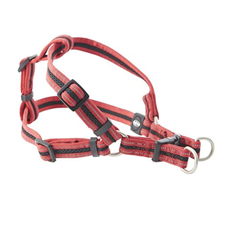 Buster 反光網格胸帶 Reflective Mesh Step-in Harness 25mm 紅色 大碼 (287122) (TBS) (圖片2)