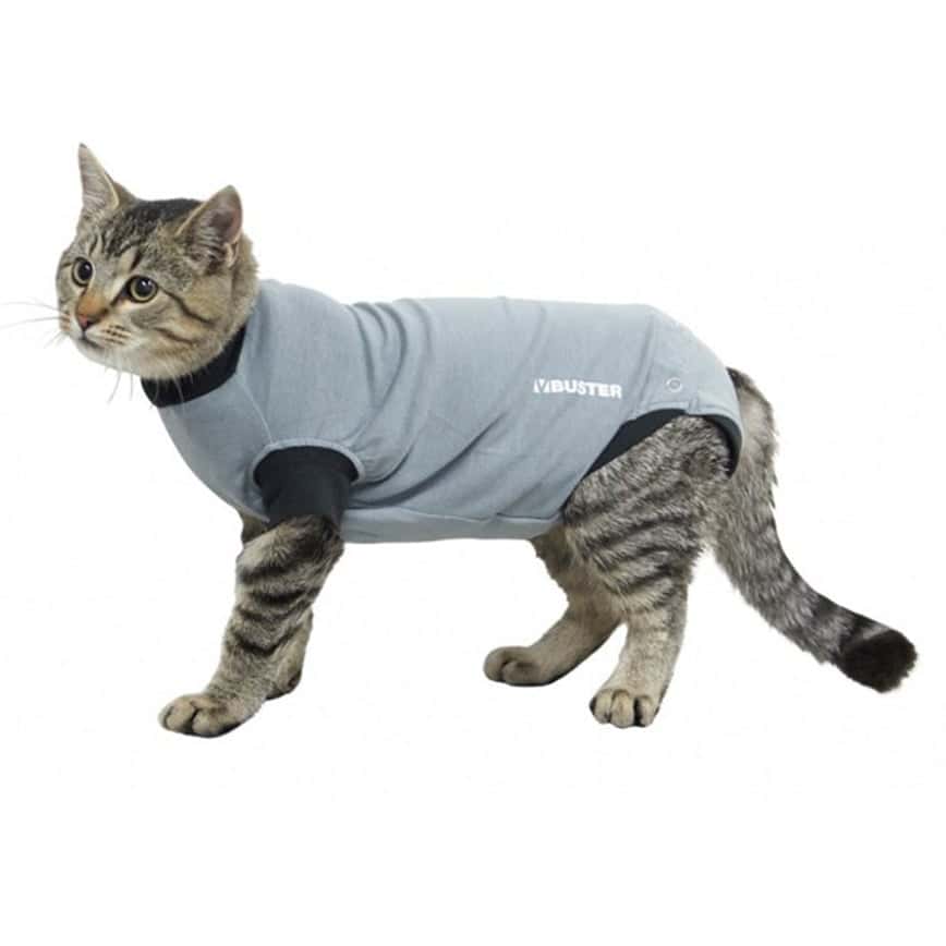 Buster 康復用具 成年貓 Adult cat S (273963) (圖片2)