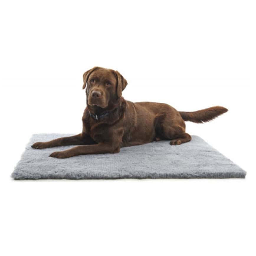 Buster 人造羊毛床 Vet Beds 71cm x 61cm (381603) (圖片2)