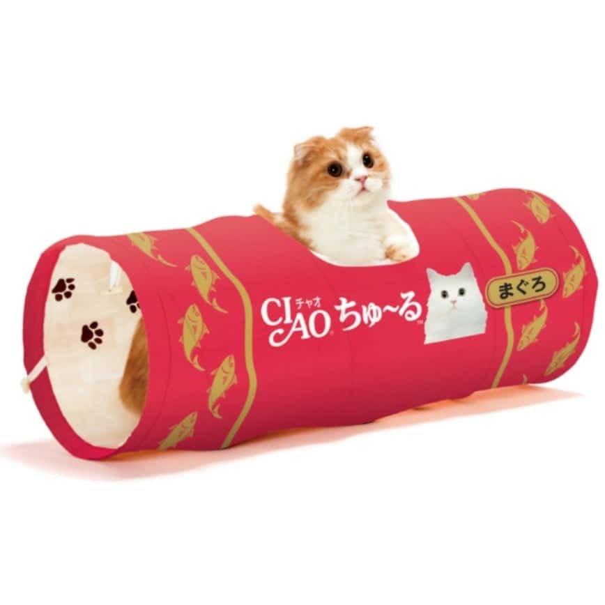 日本猫壱 necoichi x CIAO 貓咪趣味隧道 - 限定品 (圖片2)