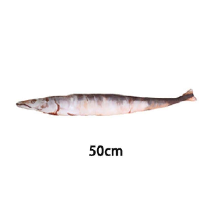 貓咪柔軟舒服抱枕玩具 粉色秋刀魚 大 - 開倉價優惠 (圖片2)