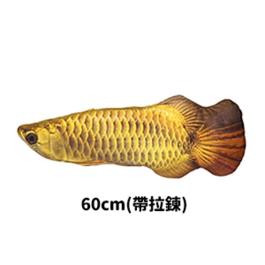 貓咪柔軟舒服抱枕玩具 金龍魚 加大 - 開倉價優惠 (圖片2)