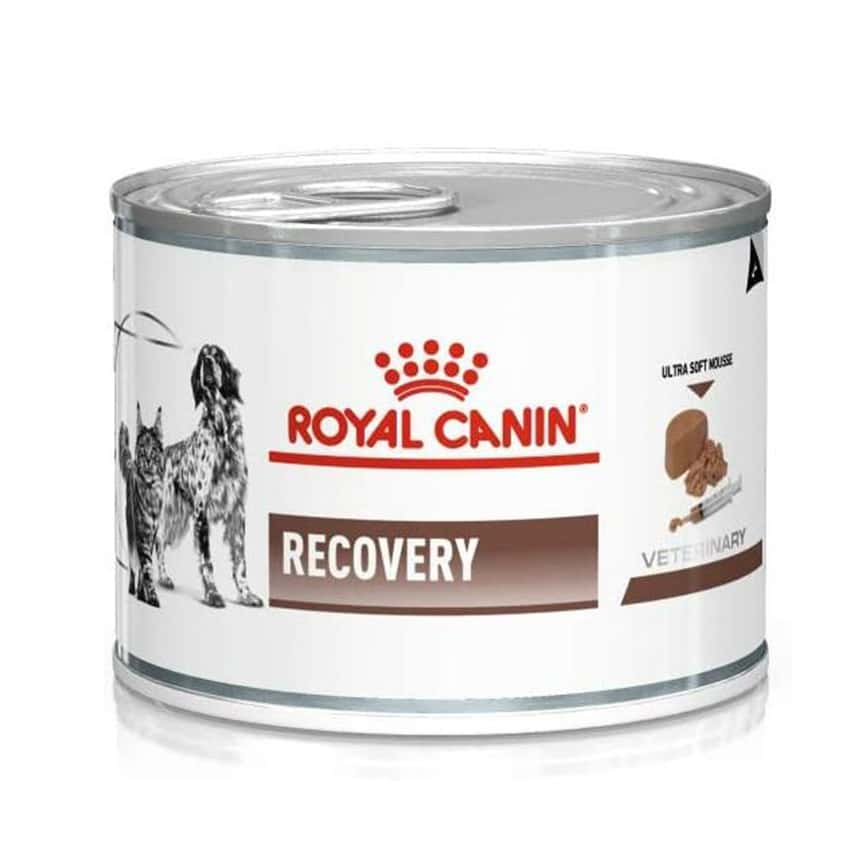 Royal Canin 處方糧 法國皇家 貓犬用罐頭 腸胃道系列 ICU重症營養處方補給罐頭 (貓/犬用) 195g (2881300/9003579016091) (圖片2)