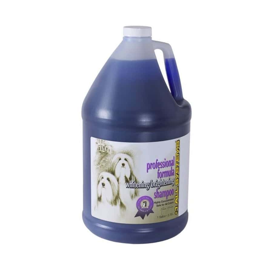 頂尖 洗毛液 專業用美白配方 1gal (KU6) (圖片2)