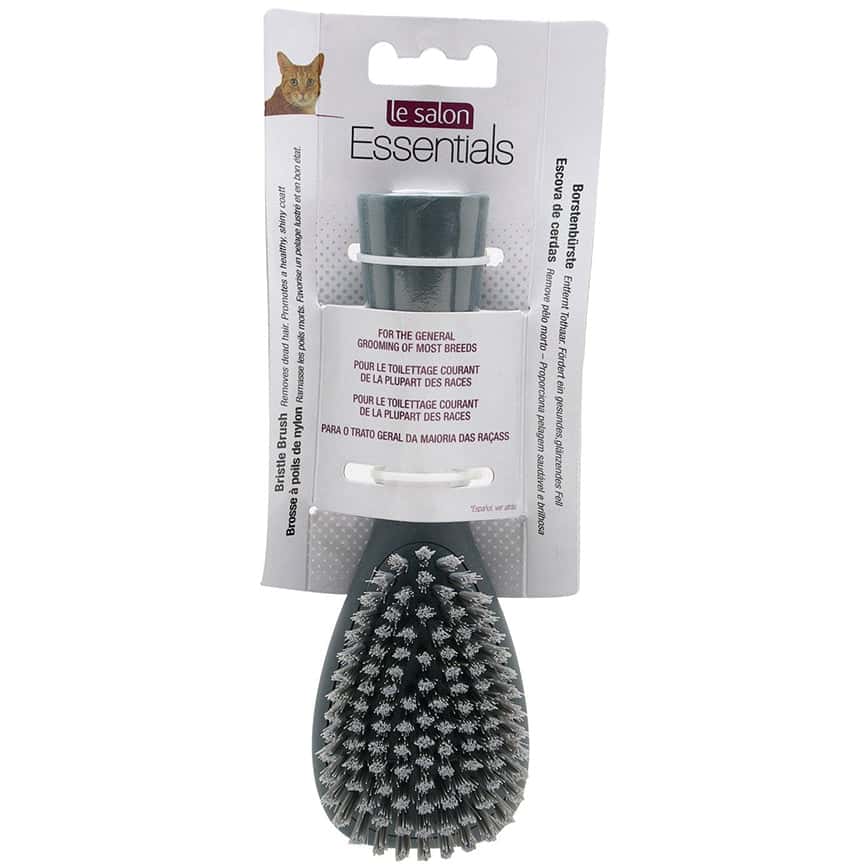 Hagen希勤 梳刷 LeSalon系列 豬棕毛刷 S (C50410) (圖片2)