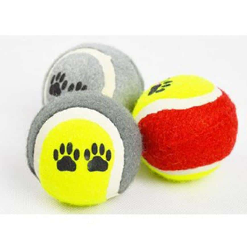 耐咬網球狗狗訓練玩具 6cm (圖片2)