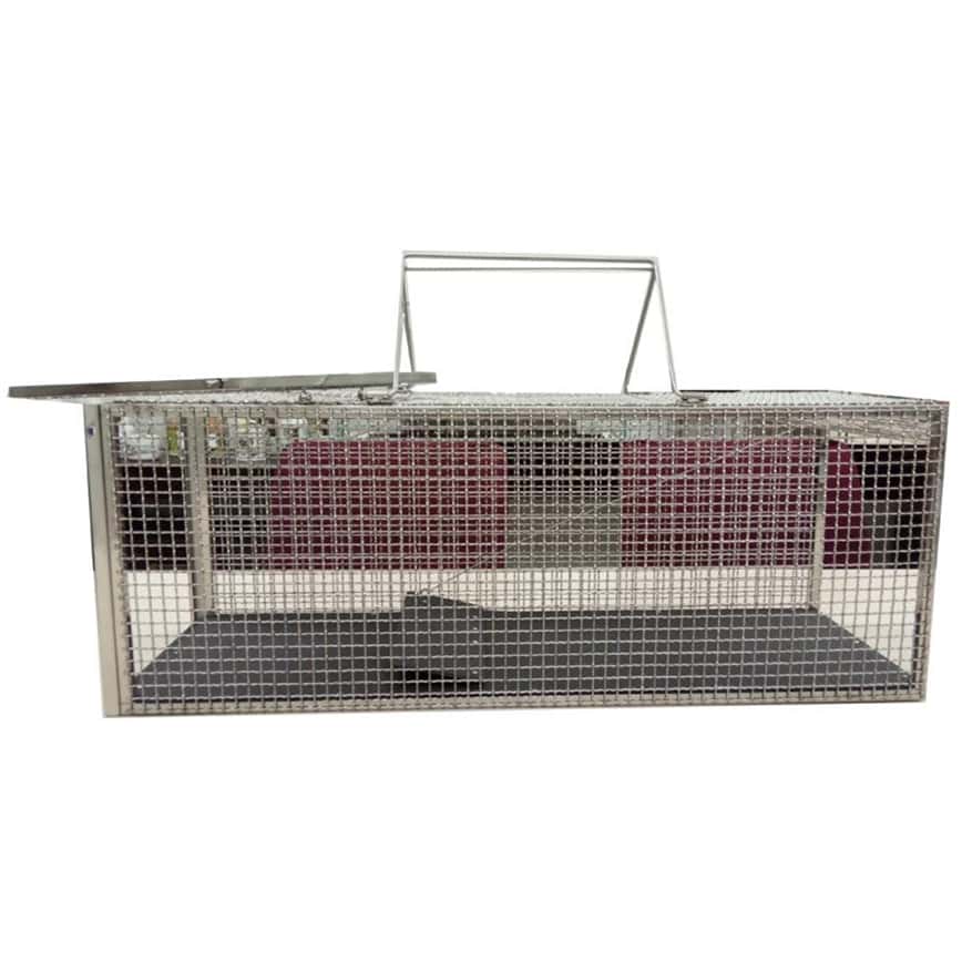 Solidpet蘇力 寵物籠 貓籠狗籠 捕貓籠 大號 (STC-C-304-007) (圖片2)