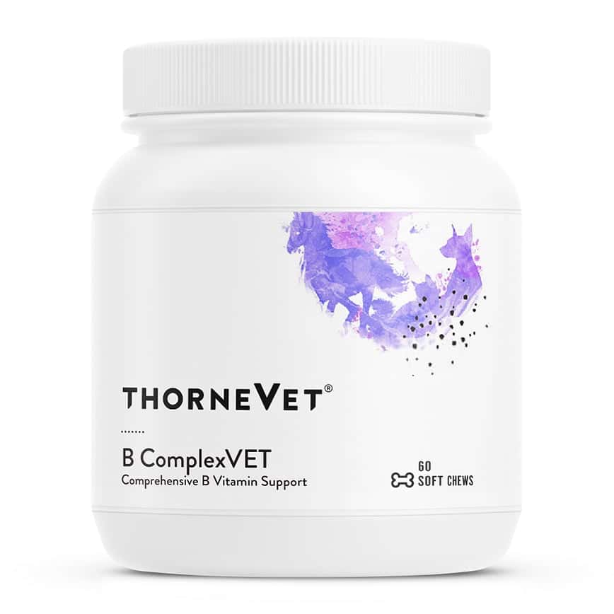 THORNE VET霍恩 B ComplexVet 維他命B雜 60粒 (VB104SC) (圖片2)