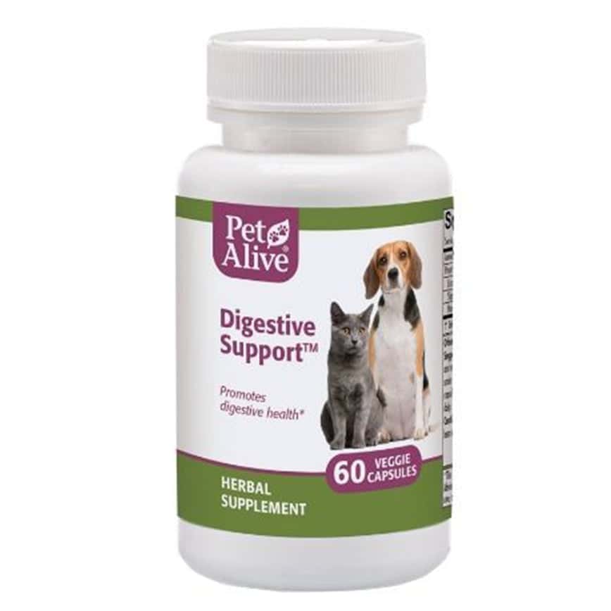 PetAlive Digestive Support™ 維持消化系統正常 60粒 (PDIG001) (圖片2)