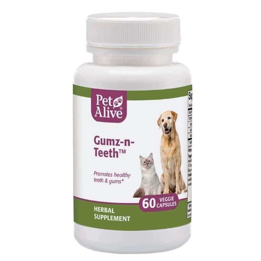 PetAlive Gumz-n-Teeth™ 促進牙齒及口腔健康 60粒 (PGNT001) (圖片2)