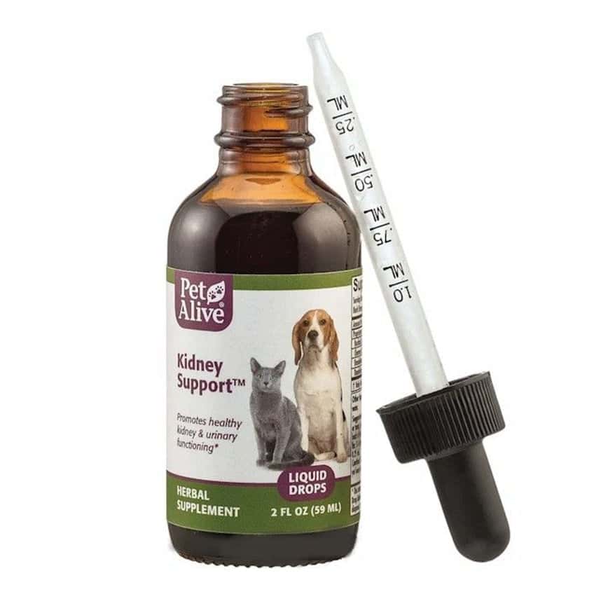 PetAlive Kidney Support™ 維持腎臟機能及平衡循環 59ml (PKDS001) (圖片2)