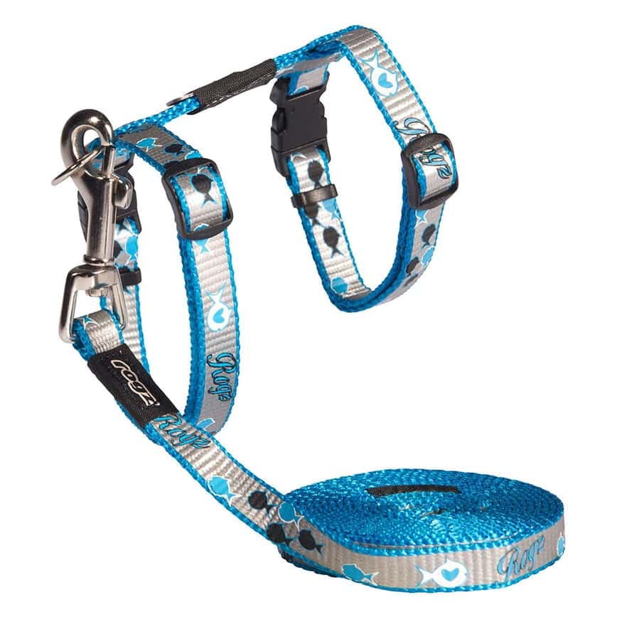 ROGZ REFLECTOCAT 胸帶連拖繩 藍邊 (CLJ40-B) (圖片2)