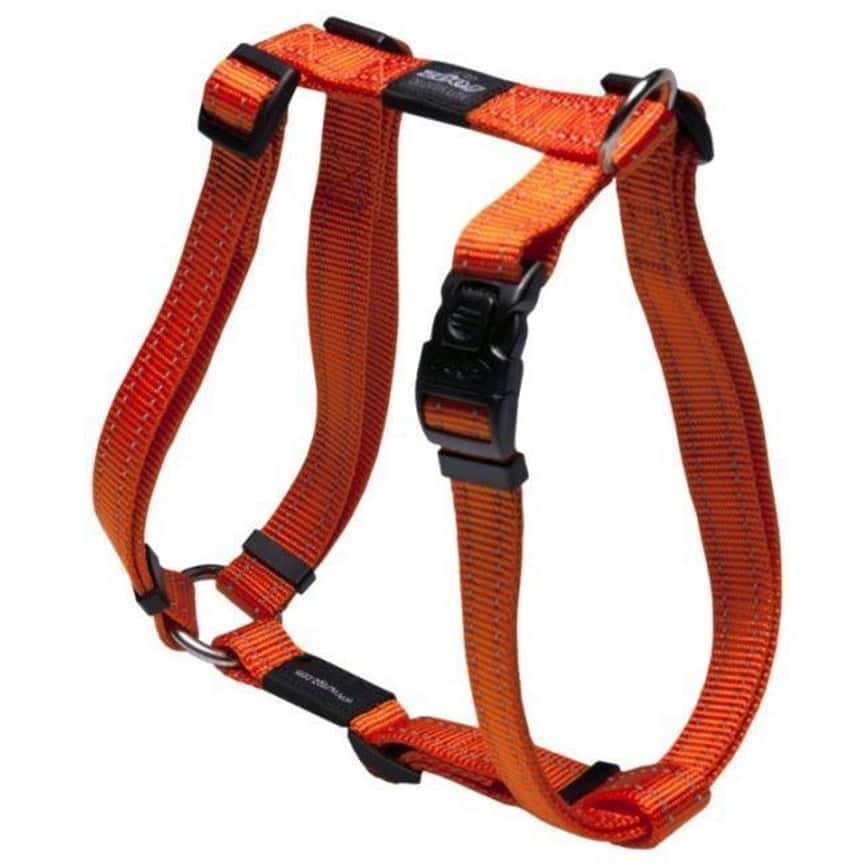 ROGZ 胸背帶 工字款 XL 橙色 (SJ05-D) (圖片2)