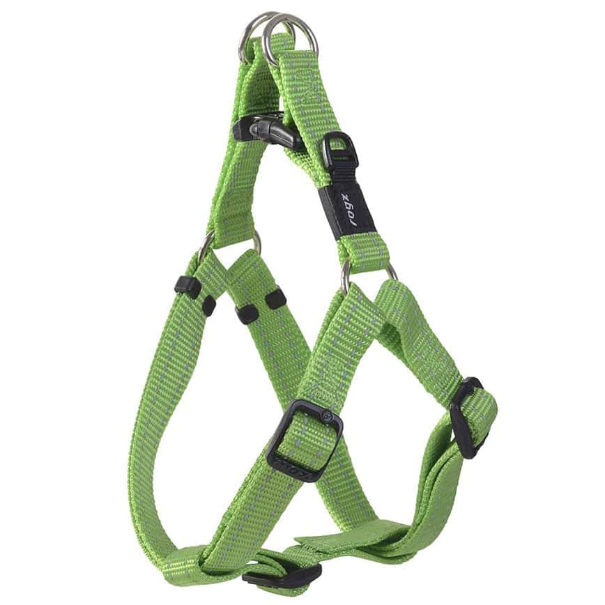 ROGZ 胸背帶 Y字款 L 青色 (SSJ06-L) (圖片2)