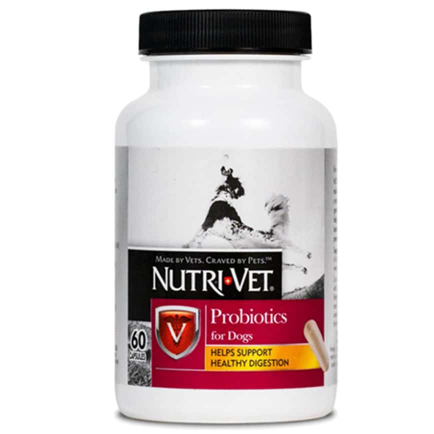Nutrivet 犬用益生菌 + 益生原膠囊 60粒 (NV66019) (圖片2)