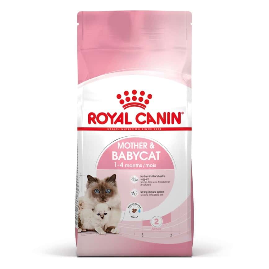 Royal Canin 貓糧 法國皇家貓糧 FHN 離乳貓及母貓營養配方 BA34 2kg (2544020012) (圖片2)