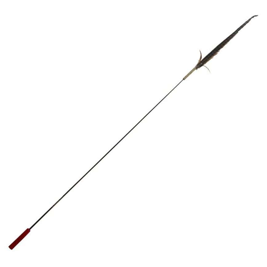 Petio 木天蓼山雞羽毛逗貓棒 超長型 170cm (91602853) (圖片2)