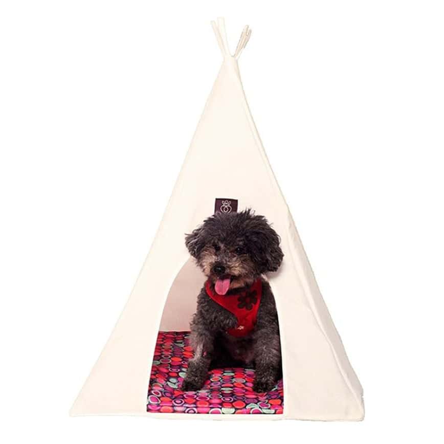 Pet Tepee 小 (15600-00) (圖片2)
