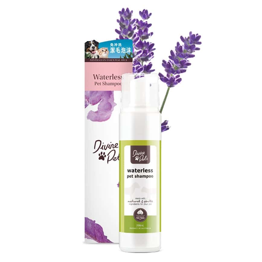 Divine Pets 免沖洗潔毛泡沫 200ml (DP_200_WS) (圖片2)