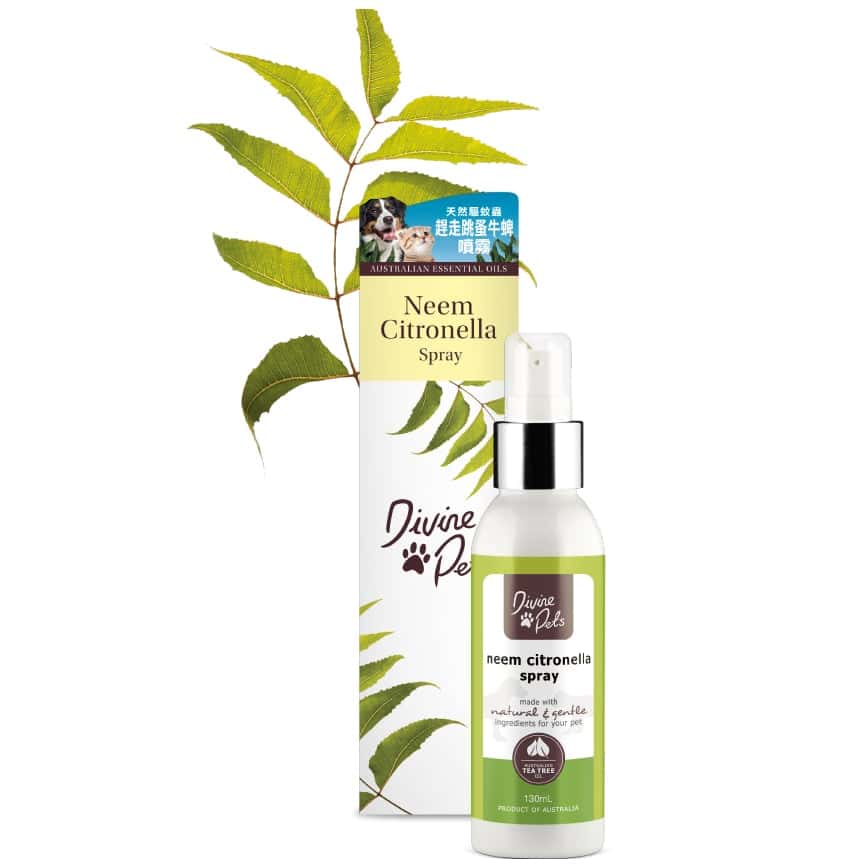 Divine Pets 趕走跳蚤牛蜱噴霧 130ml (DP_130_NCS) (圖片2)