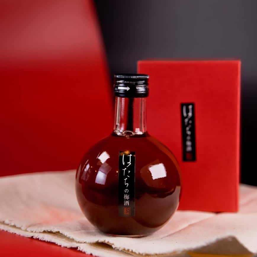 達磨正宗 ダルマ正宗 はたちの梅酒 20歲的梅酒 300ml (圖片2)