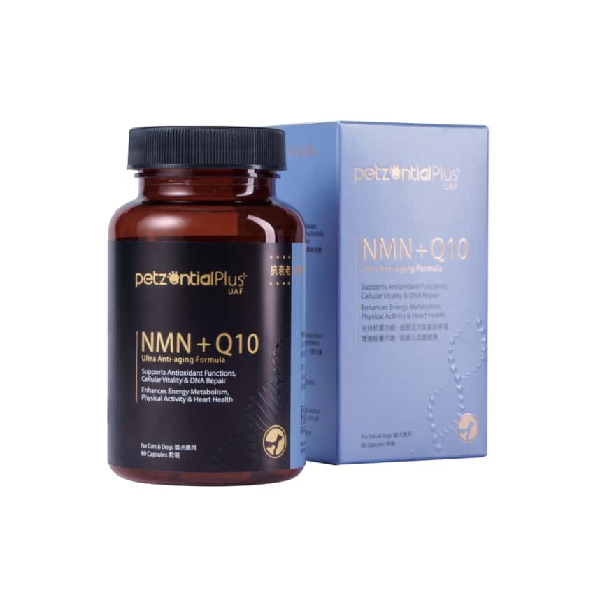 PetzentialPlus UAF NMN+Q10 抗衰老加強配方 60粒 (貓犬用) (003130) (圖片2)