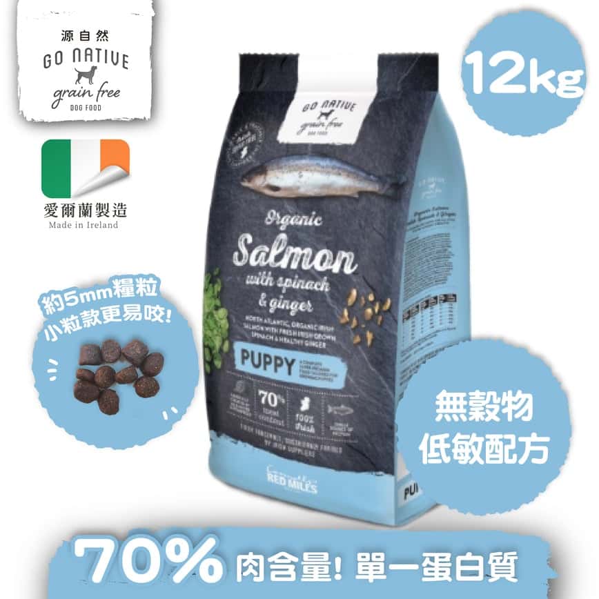 Go Native 愛爾蘭冠軍 頂級無穀物單一蛋白低敏狗糧 幼犬三文魚 12kg 中小型犬用 (圖片2)