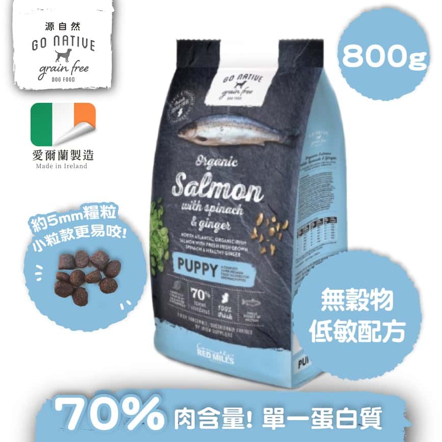 Go Native 愛爾蘭冠軍 頂級無穀物單一蛋白低敏狗糧 幼犬三文魚 800g 中小型犬用 (圖片2)