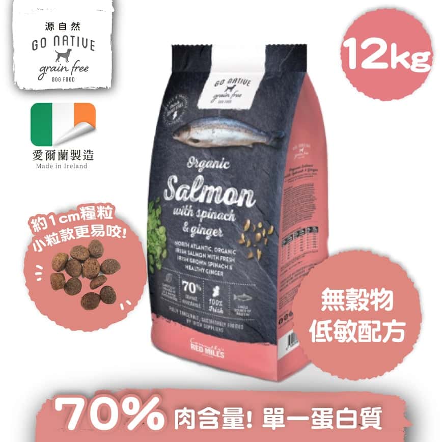 Go Native 愛爾蘭冠軍 頂級無穀物單一蛋白低敏狗糧 成犬三文魚 12kg (或 3包4kg 夾袋) (圖片2)