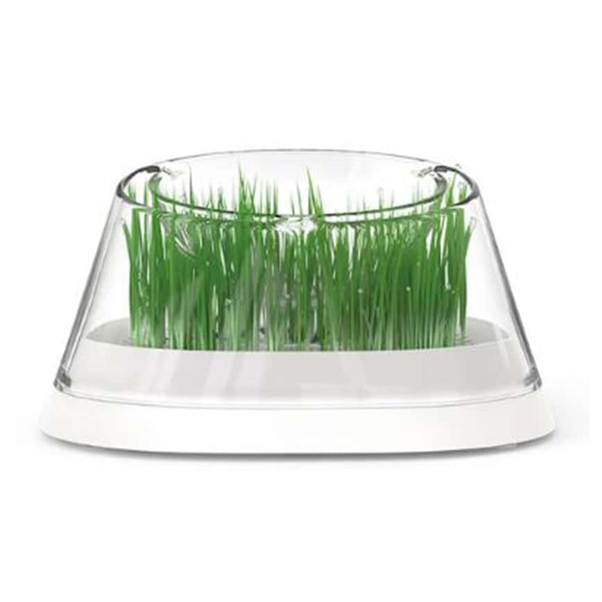 MOBOLI 秘密森林貓草碗 20x20x10.7cm 白色 (mo10108)  (圖片2)