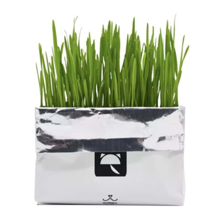 VETRESKA 嚴選無⼟⽔培貓草種植包 (款式隨機) (vk10113/vk10687/vk11295) (圖片2)