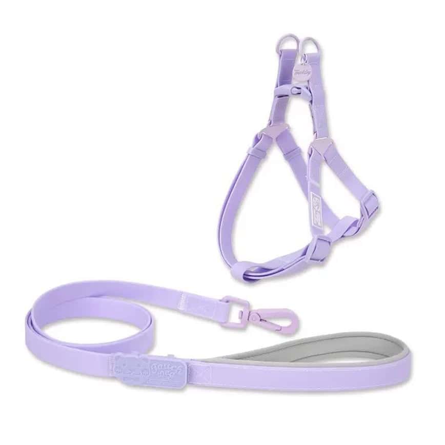 TOUCHDOG 奶油牽繩套裝 S 15mm (顔色隨機) (圖片2)