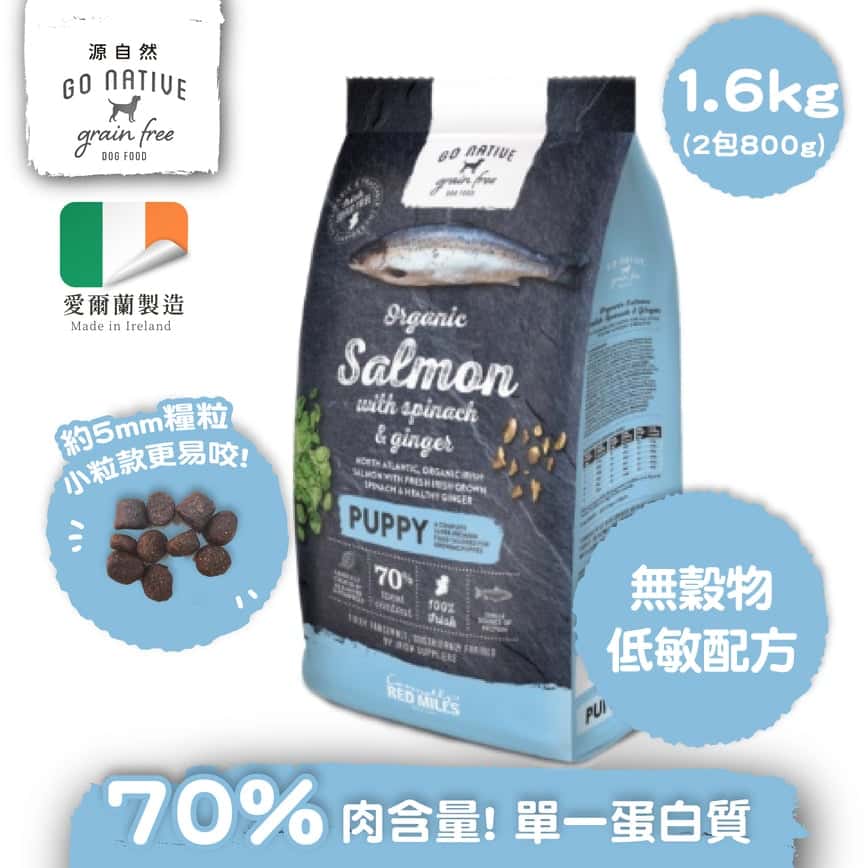 Go Native 愛爾蘭冠軍 頂級無穀物單一蛋白低敏狗糧 中小型幼犬三文魚 1.6kg 或 (2包800g夾袋) (圖片2)