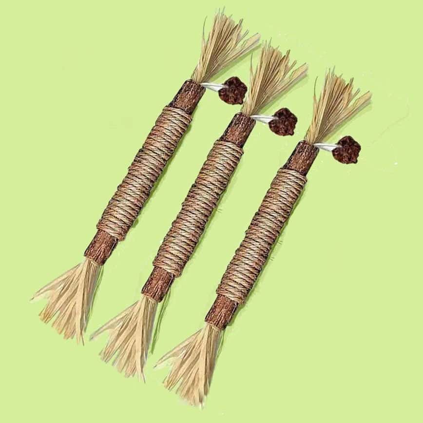 天然木天蓼棒 磨牙潔齒去口氣 蟲癭果啃咬組合 (圖片2)