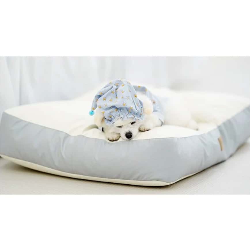 Dfang 寵物床墊 豆豆寵物床 灰色 (75cmX58cmX13cm) (圖片2)