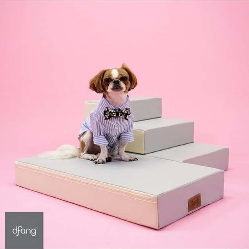 Dfang 多用途寵物樓梯 4級 (70cmX38cmX40cm) (圖片2)