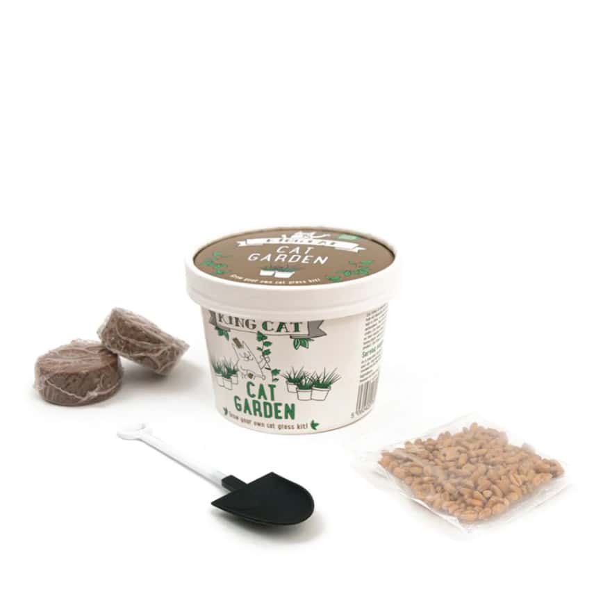 King Catnip 貓玩具 Cat Garden ⾃種貓草 12g (KC2014) (圖片2)